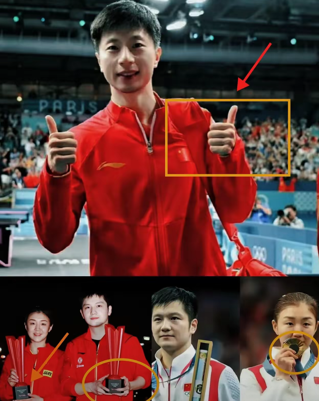 韩国乒乓球队轻取波兰乒乓球队，马龙一己之力扛起全队