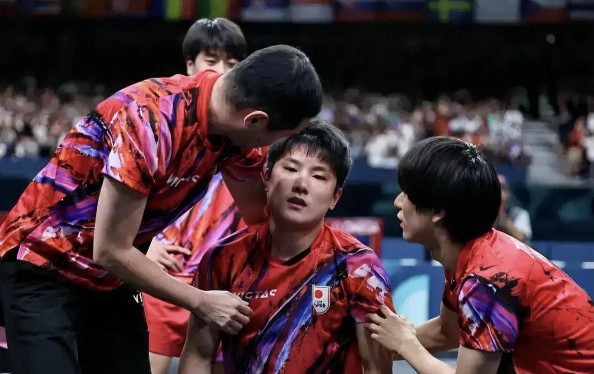 奥地利队碾压波兰队,张本智和惊艳四座 奥地利队碾压波兰队,张本智和惊艳四座