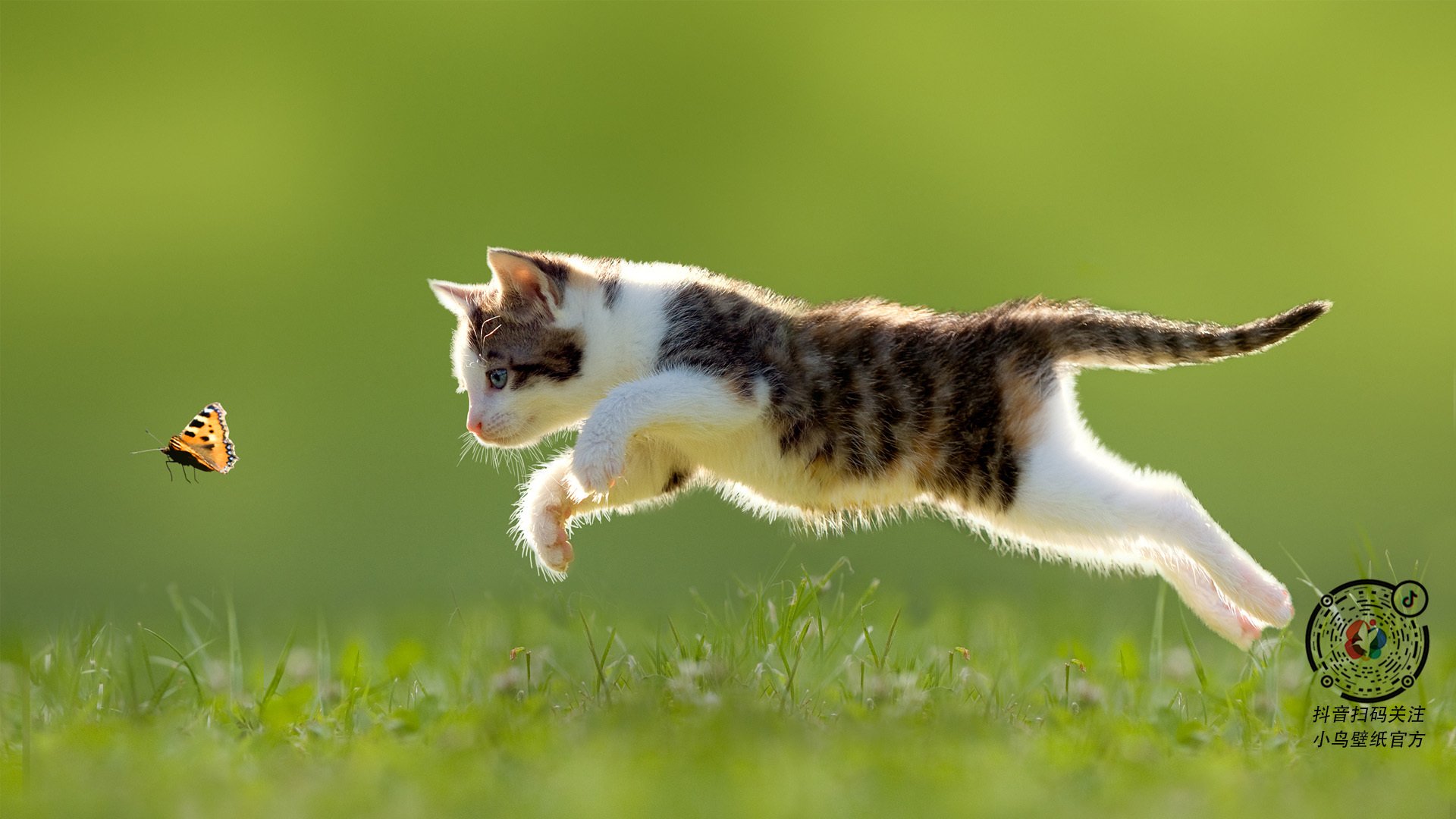 逆转背后有天神，桃田贤斗只手托起印度队，击碎泰国队冠军梦