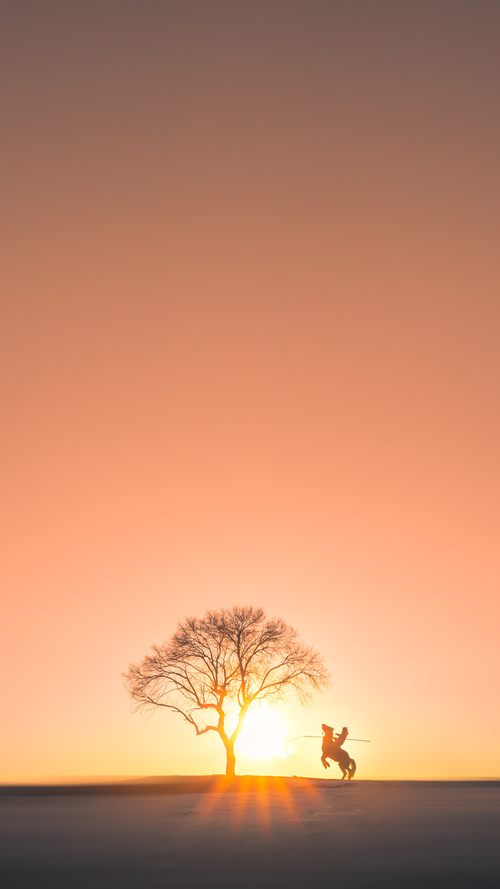 新核崛起与终结魔咒,比利时如何在一场比赛中显露冠军之心?