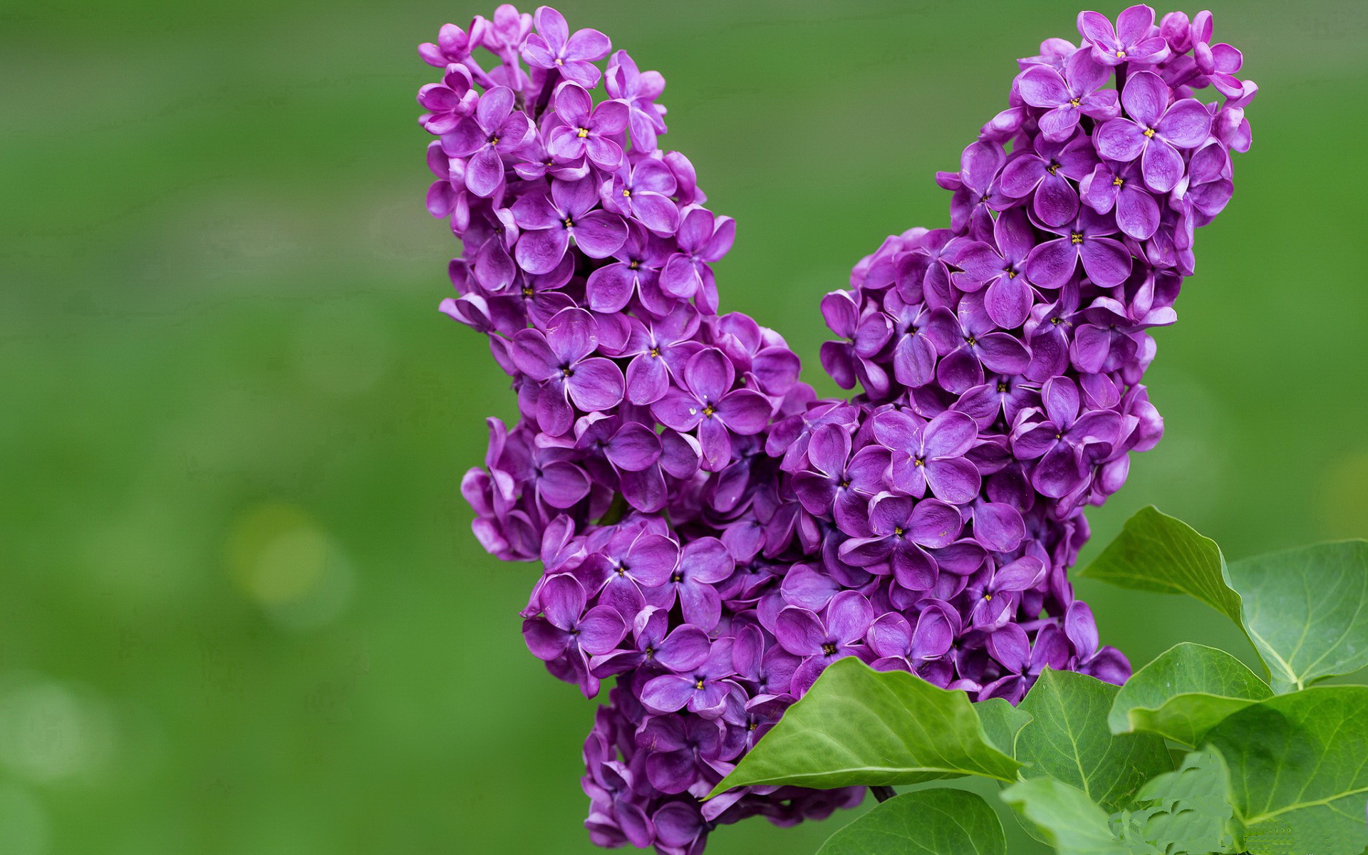 平行宇宙的绝杀,当火箭熄灭老鹰,欧冠巨星同步启动接管程序