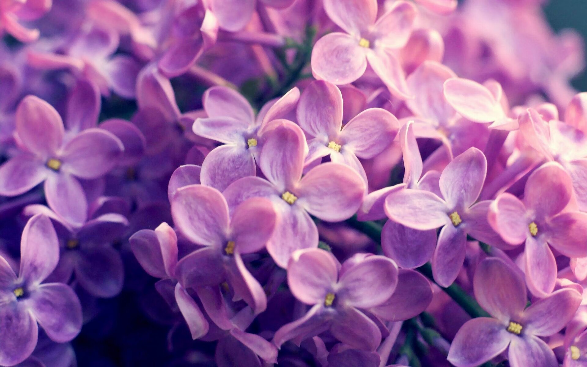 时空裂缝,当莫兰特空降CBA并接管了辽吉之战