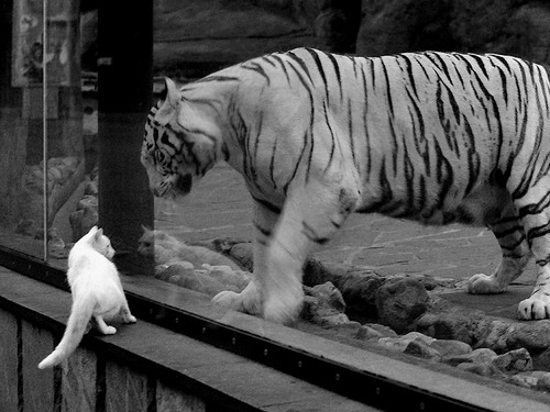 爵士森林狼之战，乔治以指尖导演胜利交响乐