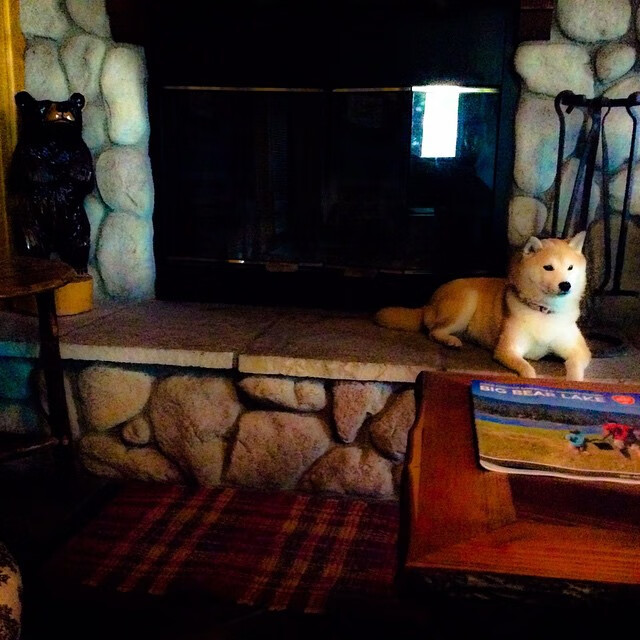 当荷兰橙衣军团遭遇切尔西式的战术布局,一场关于节奏的全球对话