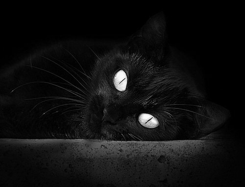 掘金约对统治,鹈鹕折翼丹佛—英格拉姆空砍40+难挽狂澜