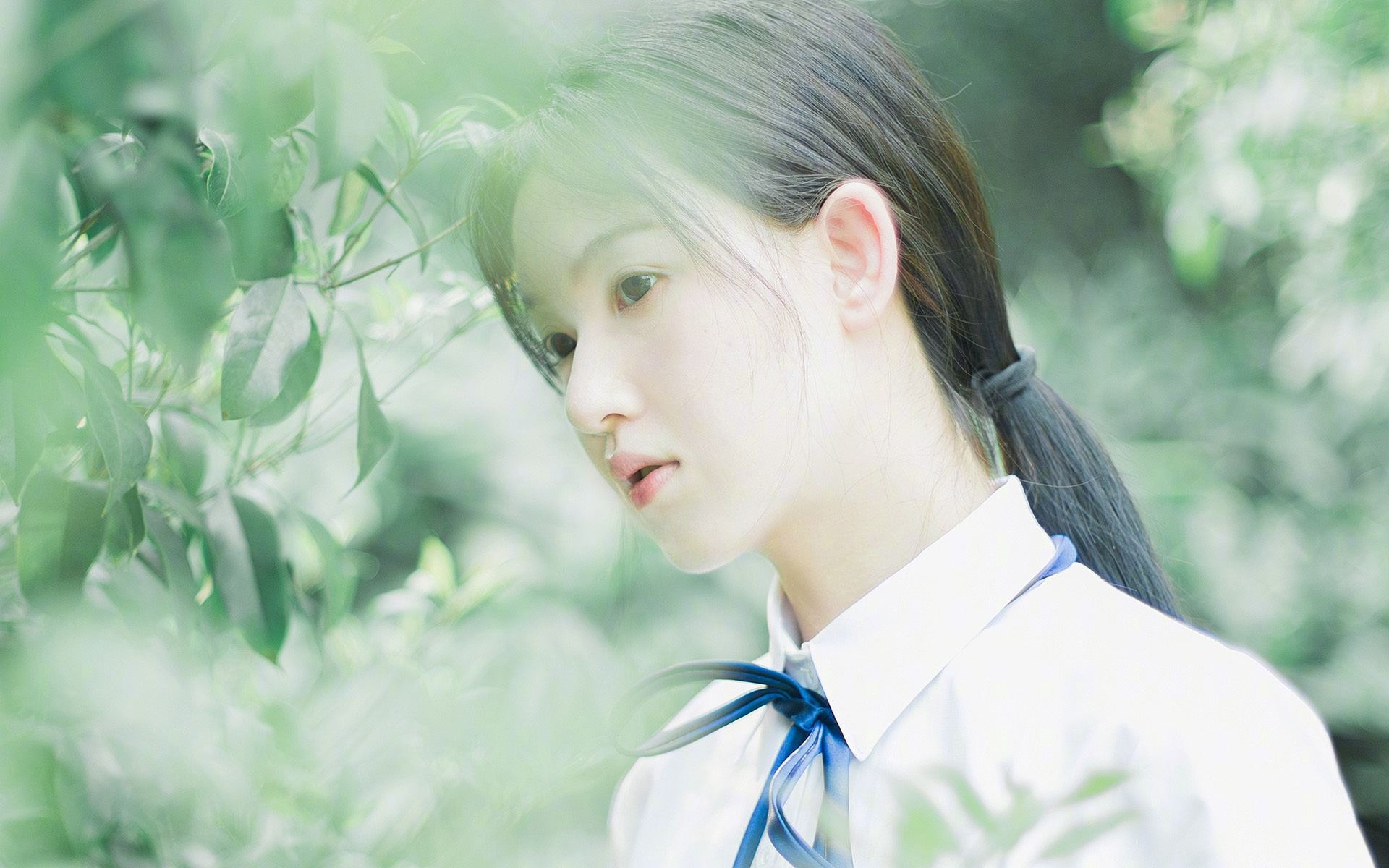 紫百合的节奏诗篇,当克罗地亚琴弦拨动亚平宁