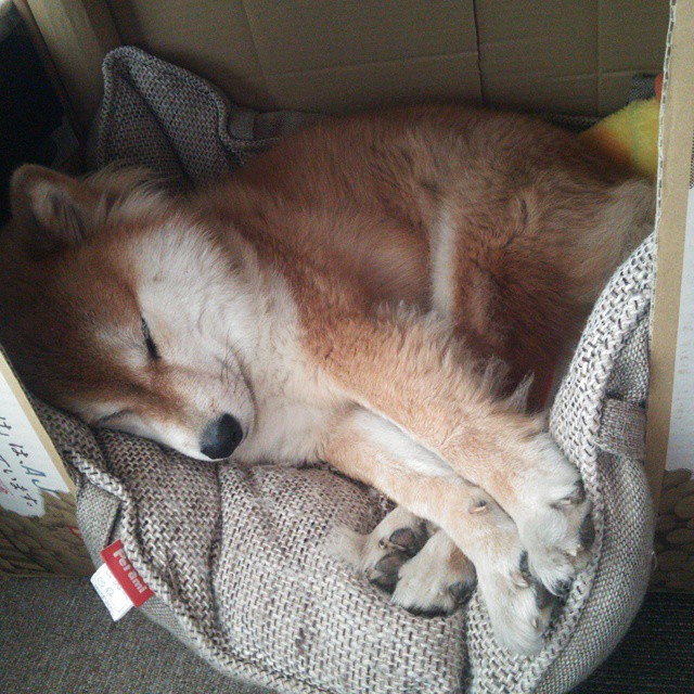 舞台与疆界，绿茵场上，何以永恒强大？