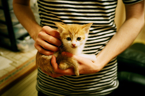 篮筐之外，弧线之中，当塔图姆在欧冠淘汰赛划出雷霆弧线