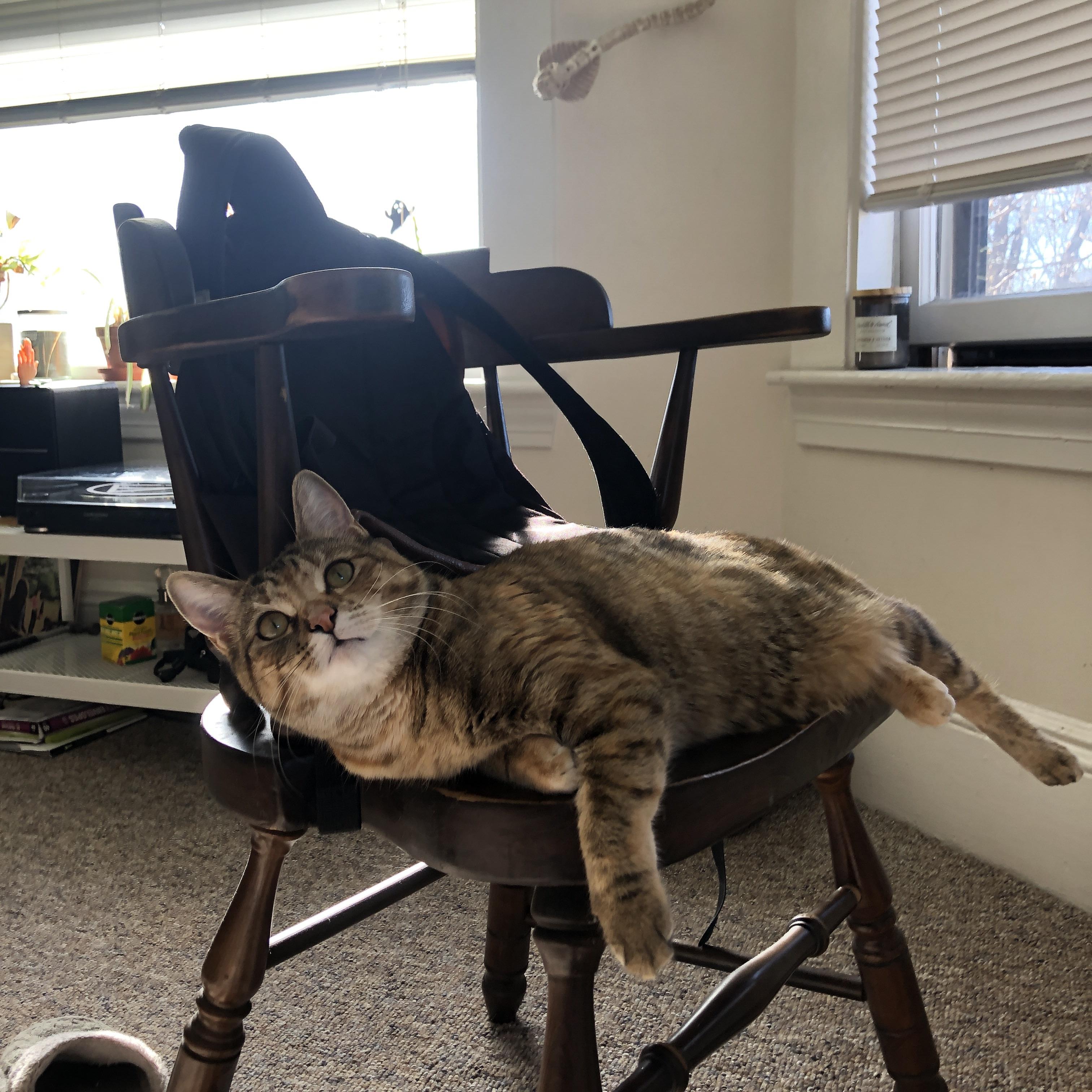 跨联盟巅峰对决,莫兰特攻防两端统治全场,广厦队憾负马刺展现韧性