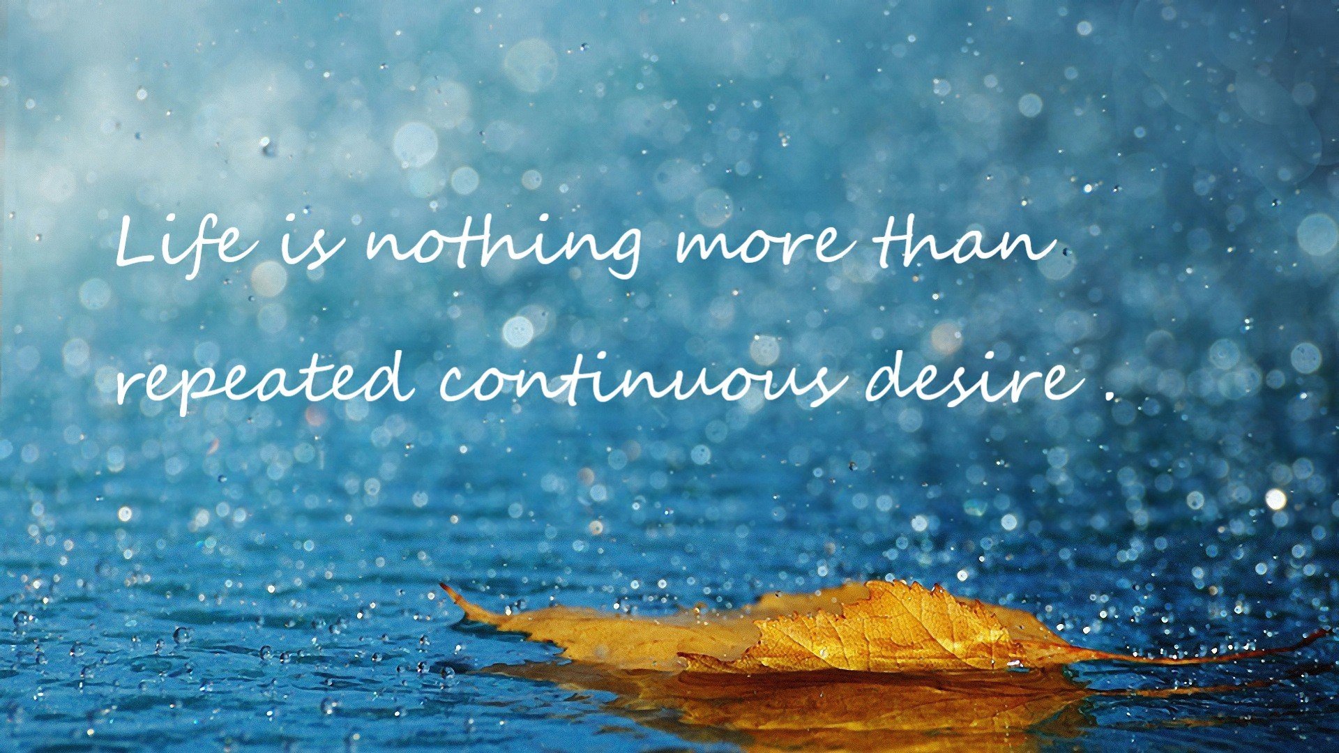 非洲风穿过丹麦童话,萨内一击撕裂北欧堡垒