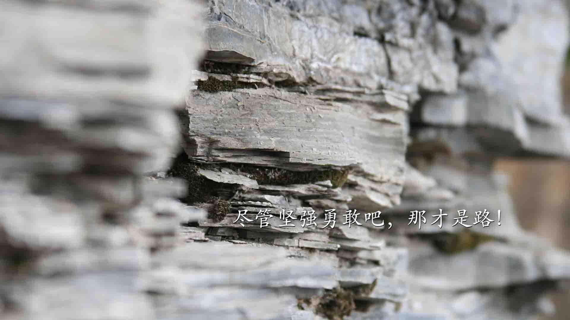 唯一性的瞬间,2026世界杯B组,波兰险胜厄瓜多尔,维尼修斯的致命一击与进攻的极致美学