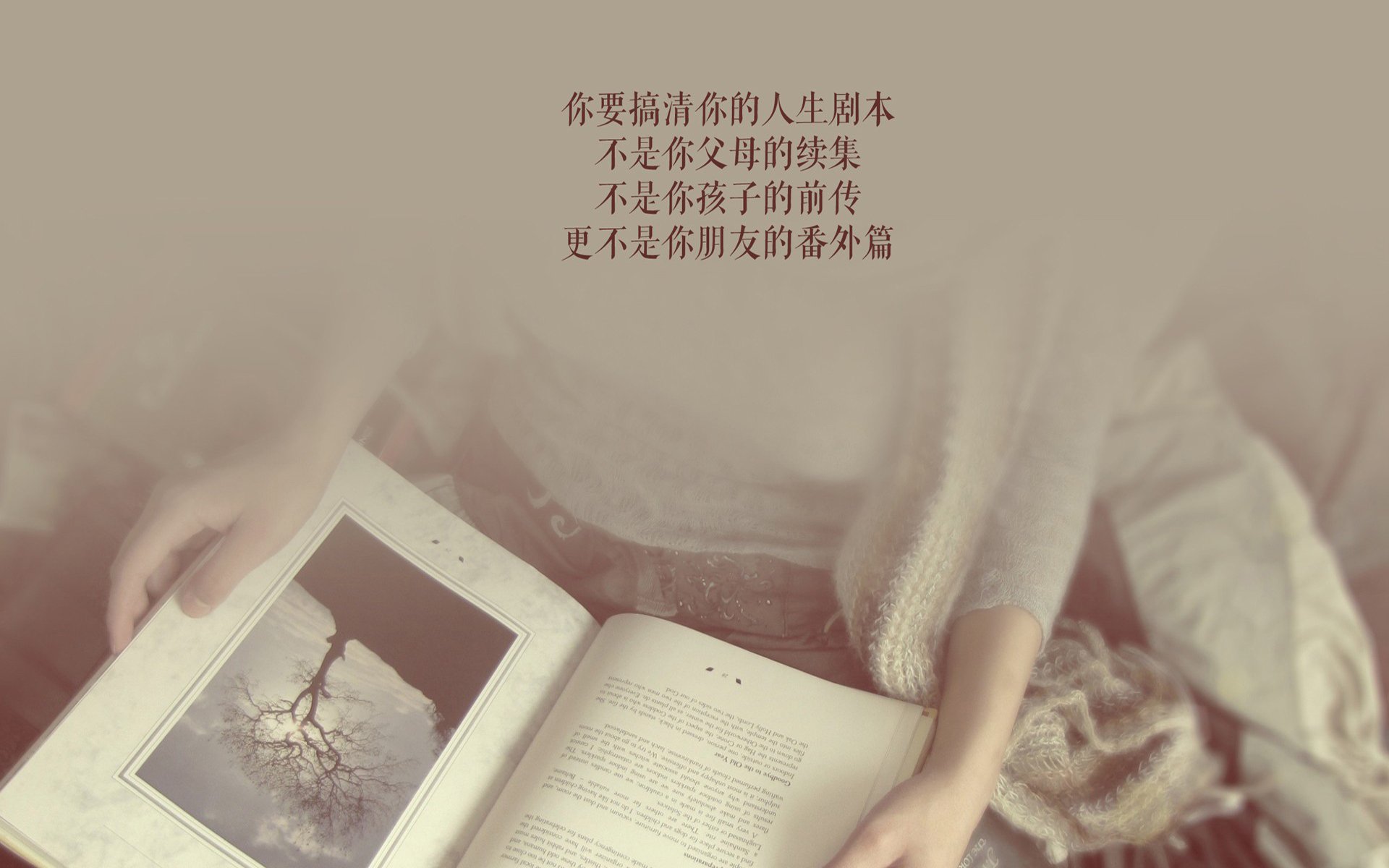 一记绝杀,两种命运,苏亚雷斯的致命一击与伊朗的碾压式突围