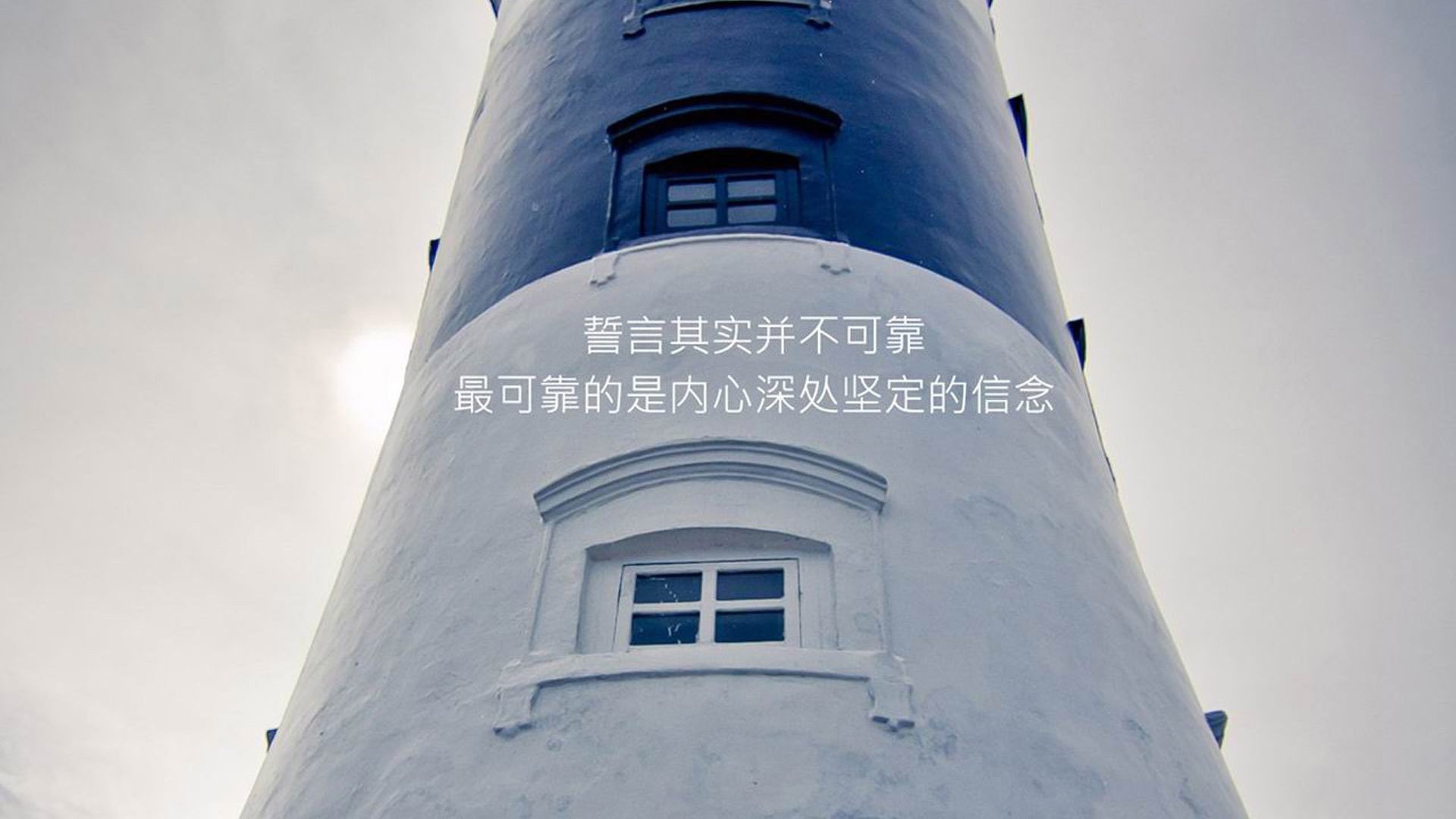 命运逆转之夜,卢卡库独造三球,喀麦隆绝地反击击碎厄瓜多尔晋级梦